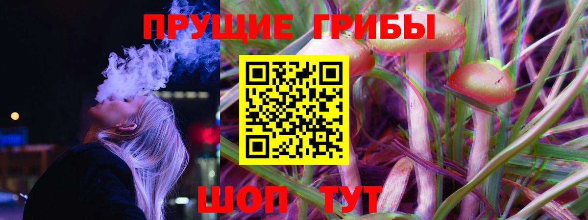 Псилоцибиновые грибы Magic Shrooms Новоалександровск